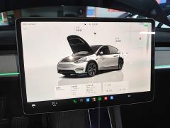 Tesla Model Y Rear-Wheel Drive - фото 12