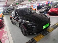 Tesla Model Y Rear-Wheel Drive - фото 3