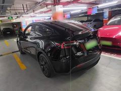 Tesla Model Y Rear-Wheel Drive - фото 4