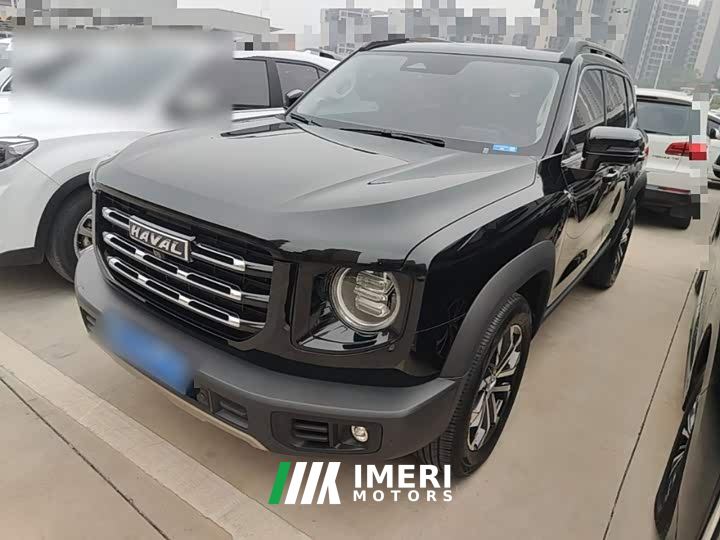 Great Wall Dachshund 1.5T DCT Two-Wheel Drive Border Collie Edition