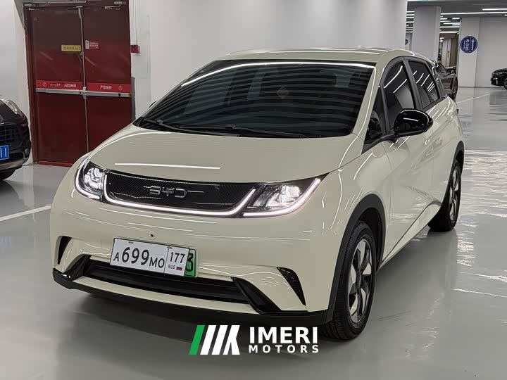 BYD Dolphin 420km Freedom Edition - car from China