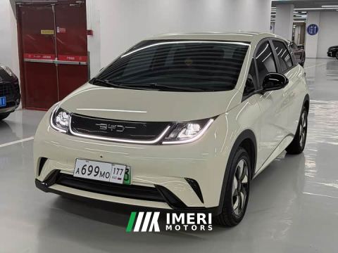 2026 BYD Dolphin 420km Freedom Edition - ავტომობილი ჩინეთიდან