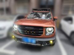 Great Wall Dachshund 2.0T DCT Four-Wheel Drive Howling Celestial Dog Edition - ფოტო 2