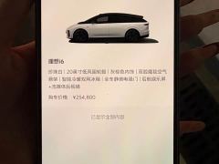 Li Auto i6 Two-Wheel Drive Standard - фото 8