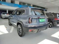 Great Wall Dachshund 2.0T DCT Chinese Rural Dog Edition - ფოტო 4