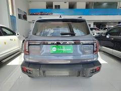 Great Wall Dachshund 2.0T DCT Chinese Rural Dog Edition - ფოტო 5