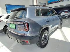 Great Wall Dachshund 2.0T DCT Chinese Rural Dog Edition - ფოტო 6