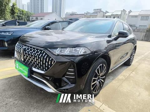 2021 Great Wall Wei Brand Mocha 2.0T AWD Premium Edition - автомобиль из Китая
