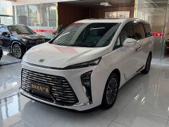 Buick GL8 Luzun Respect Edition - photo 3