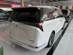 Buick GL8 Luzun Respect Edition - photo 5