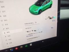 Tesla Model 3 Facelift Standard Range RWD Upgrade 3D1 - ფოტო 11