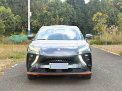 Dongfeng Fengxing Thunder 430 Lite - ფოტო 2