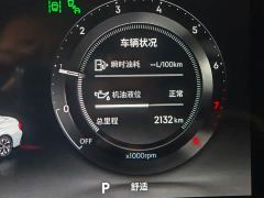 Lynk & Co 03 2.0T Diesel Automatic Ultra - фото 8