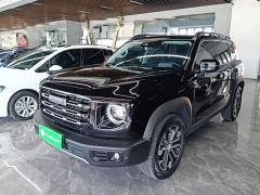Great Wall Dachshund 1.5T DCT Two-Wheel Drive Border Collie Edition - ფოტო 1