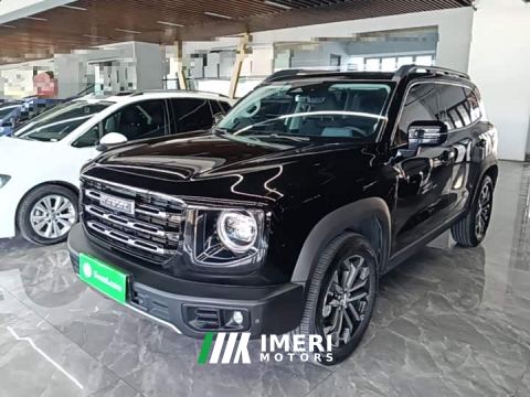 2023 Great Wall Dachshund 1.5T DCT Two-Wheel Drive Border Collie Edition - автомобиль из Китая