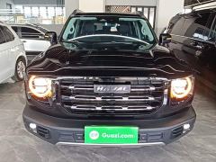 Great Wall Dachshund 1.5T DCT Two-Wheel Drive Border Collie Edition - ფოტო 2