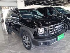 Great Wall Dachshund 1.5T DCT Two-Wheel Drive Border Collie Edition - ფოტო 3