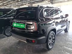 Great Wall Dachshund 1.5T DCT Two-Wheel Drive Border Collie Edition - ფოტო 6