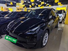 Tesla Model Y Long Range All-Wheel Drive - фото 1
