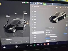 Tesla Model Y Long Range All-Wheel Drive - фото 11