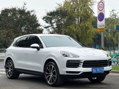 Porsche Cayenne 3.0T Platinum Edition - фото 3