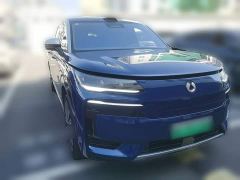 Denza N9 Flagship - ფოტო 5