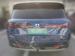 Denza N9 Flagship - ფოტო 7