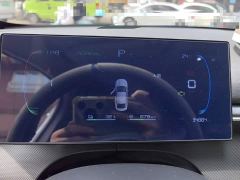 BYD Destroyer 05 Glory Edition DM-i 55KM Luxury - ფოტო 12