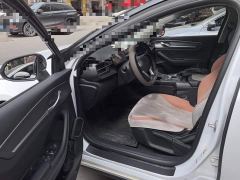 BYD Destroyer 05 Glory Edition DM-i 55KM Luxury - ფოტო 17