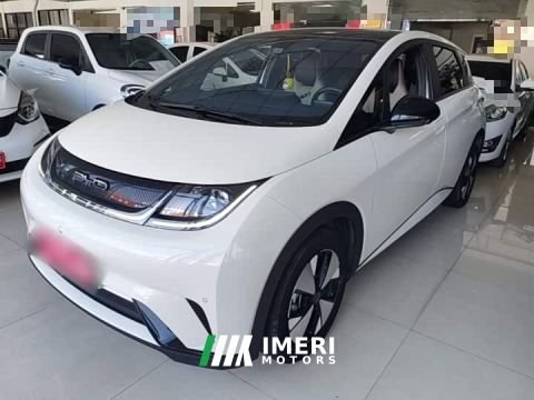 2023 BYD Dolphin 420km Fashion Edition - ავტომობილი ჩინეთიდან