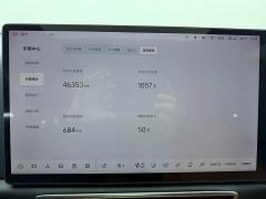 Li Auto L7 Max - ფოტო 8