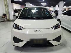BYD Seagull Smart Drive 305km Vitality Edition - ფოტო 2