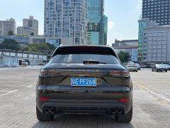Porsche Cayenne 3.0T Platinum Edition - ფოტო 5