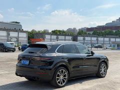 Porsche Cayenne 3.0T Platinum Edition - ფოტო 6