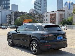 Porsche Cayenne 3.0T Platinum Edition - ფოტო 7