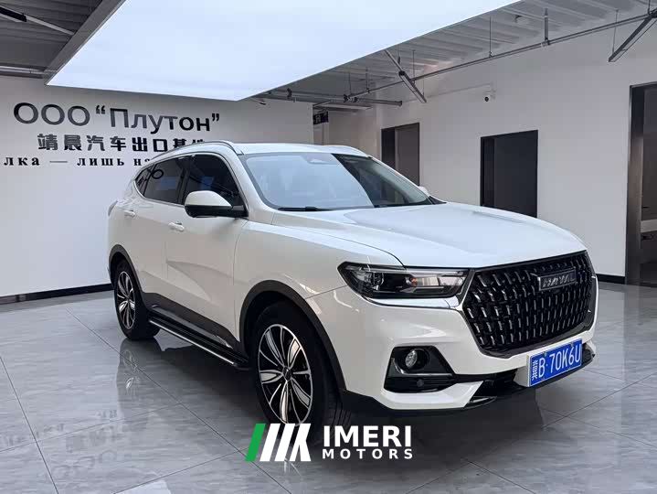 Haval H6 National Trend Edition 1.5T Automatic Champion Version - car from China