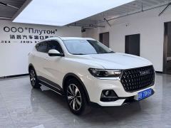 Haval H6 National Trend Edition 1.5T Automatic Champion Version - photo 1