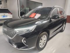 Haval M6 PLUS 1.5T DCT Luxury Smart Connected Edition - ფოტო 1