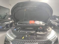 Haval M6 PLUS 1.5T DCT Luxury Smart Connected Edition - ფოტო 19