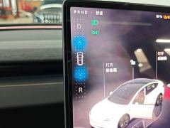 Tesla Model 3 Rear-Wheel Drive - фото 13
