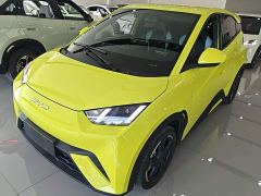 BYD Seagull Freedom Edition - ფოტო 1