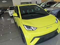 BYD Seagull Freedom Edition - ფოტო 3
