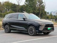 Great Wall WEY Blue Mountain Intelligent Advanced Edition Four-Wheel Drive Max - фото 3