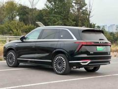Great Wall WEY Blue Mountain Intelligent Advanced Edition Four-Wheel Drive Max - фото 8