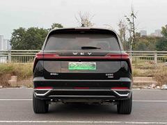 Great Wall WEY Blue Mountain Intelligent Advanced Edition Four-Wheel Drive Max - фото 9