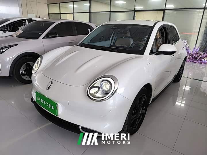 ORA Good Cat 401km Deluxe 135kW