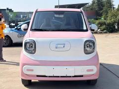 FAW Besturn Xiaoma 222km Shining Edition - ფოტო 2