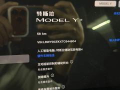 Tesla Model Y Long Range All-Wheel Drive - фото 10