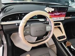 Geely Star Wish 310km Dream Edition - ფოტო 10