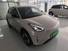 Geely Star Wish 310km Dream Edition - ფოტო 3